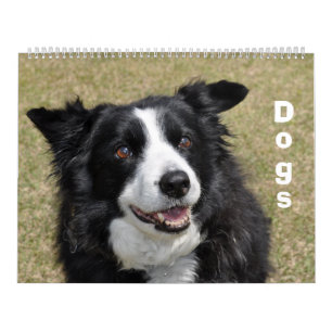 Hundekalender Kalender