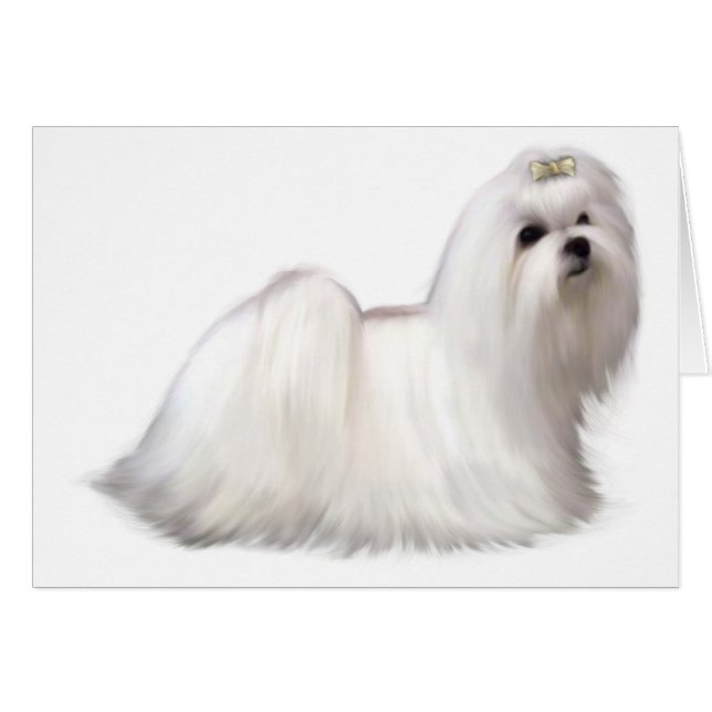 Hundekarte (Vorderseite (Horizontal))