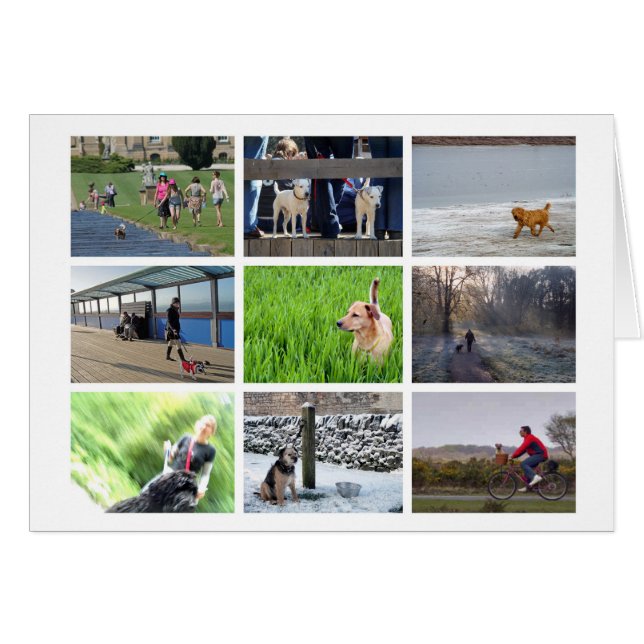 Hundekarte (Vorderseite (Horizontal))