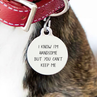 Hundekatze Witziger Spaß Passen ID Lost Pet ID Haustiermarke