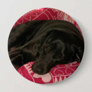 Hundeknopf Button