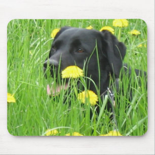 HUNDElabrador retriever-SCHWARZES Mousepad