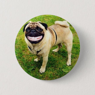 Hundelächeln-Mops niedlich Button