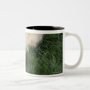 Hundelegen umgedreht im Gras mit Tennisball Zweifarbige Tasse