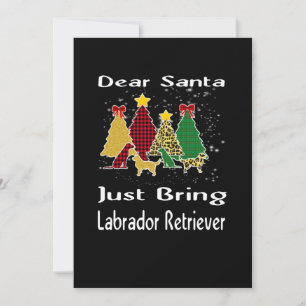 Hundeliebhaber Lieber Weihnachtsmann Bring einfach Karte