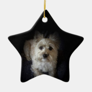 "Hundeliebhaber-" Stern-Verzierung Keramik Ornament