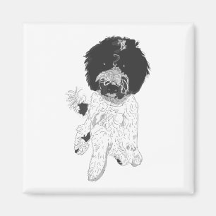 Hundemagnet Magnet
