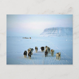 Hundemannschaften, Devon Island, Nordwestgebiete Postkarte