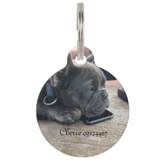 Hundemarke Haustiermarke