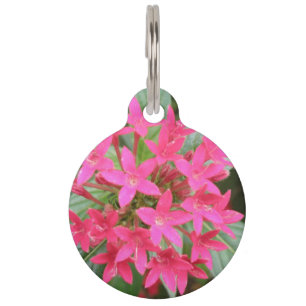 Hundemarke "Hunde" in leuchtend rosa tropischen Bl Tiernamensmarke