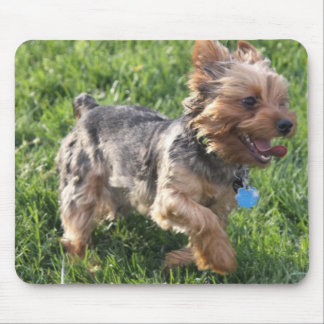 Hundemausunterlage Yorks Terrier Mousepad