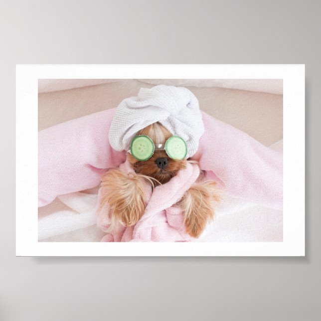 Hundemünder/Hunde-Wellness-Center-Poster Poster (Vorne)