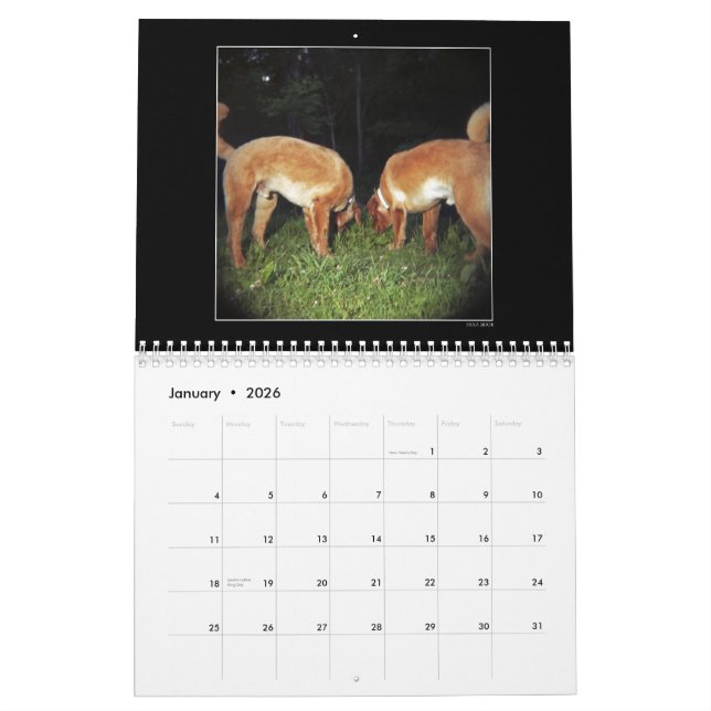 Hundepark-Farbkalender 2 Kalender (Jan 2026)