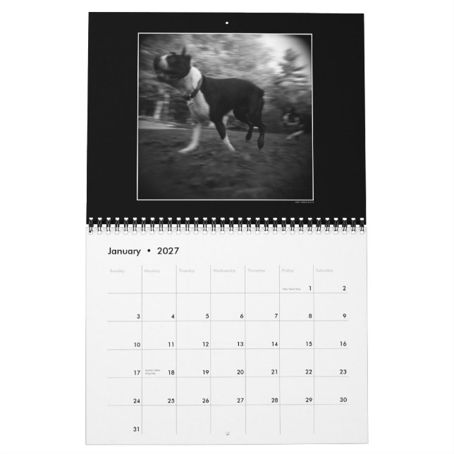 Hundeparkkalender 3 kalender (Jan 2027)
