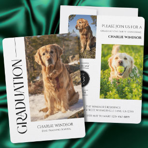 Hundeparty Einladung Haustier Fotos Schwarze Absch