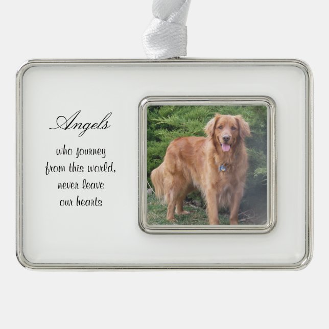 Hundepersonalisierte Rahmen-Ornament Silber (Vorderseite)