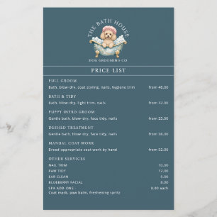 Hundepflege-Preisliste Pudel Flyer Türkis