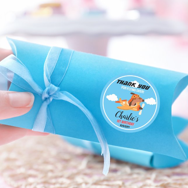 Hundepilotin Flug Flugzeug, Niedliche Geburtstag V Runder Aufkleber (Von Creator hochgeladen)