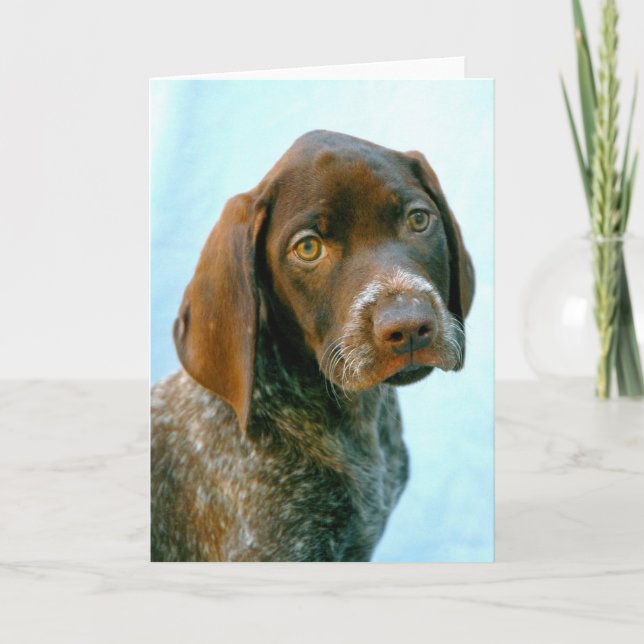 Hundeportrait Feiertagskarte (Vorderseite)