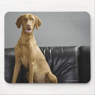 Hundeportrait Mousepad
