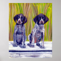 Hundeportrait