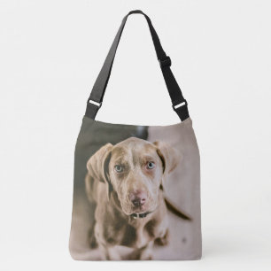 Hundeportrait Tragetaschen Mit Langen Trägern