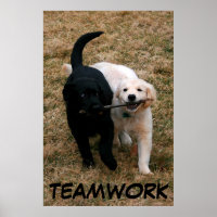 Hundeposter