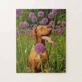 Hundepuzzles Tierbild Niedliche, schlaue Welpenfot Puzzle