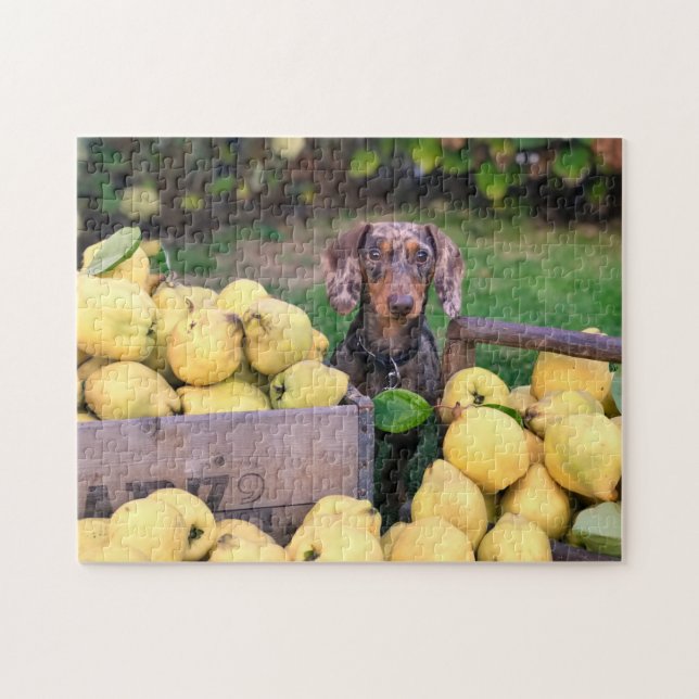 Hundepuzzles Tierbild Niedliche, schlaue Welpenfot Puzzle (Horizontal)