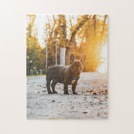 Hundepuzzles Tierbild Niedliche, schlaue Welpenfot Puzzle