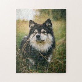 Hundepuzzles Tierbild Niedliche, schlaue Welpenfot Puzzle