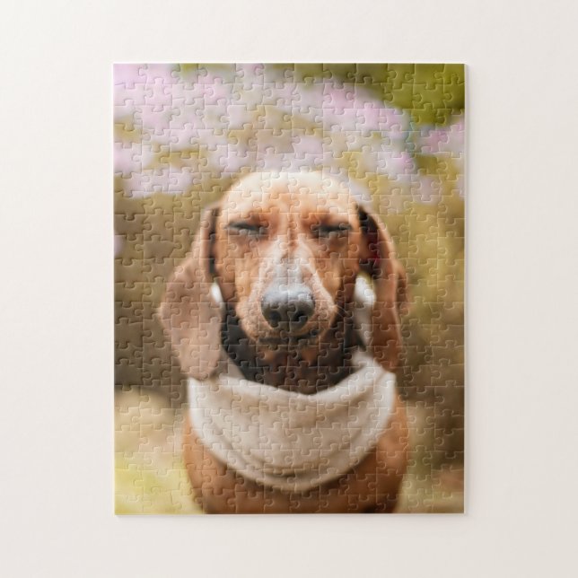 Hundepuzzles Tierbild Niedliche, schlaue Welpenfot Puzzle (Vertikal)