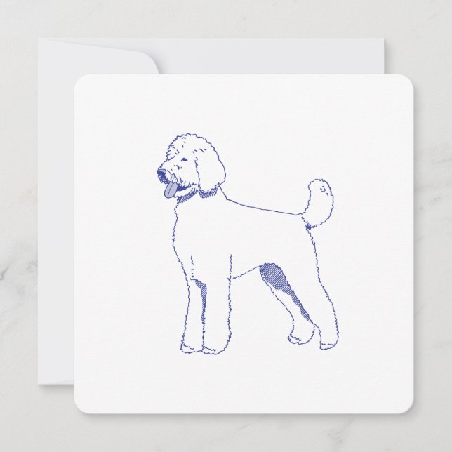 Hunderasse Goldendoodle (Vorderseite)