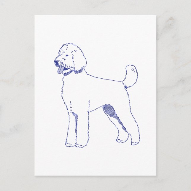Hunderasse Goldendoodle Postkarte (Vorderseite)