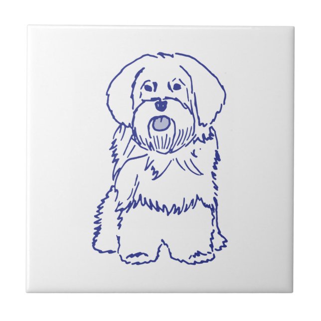 Hunderasse Havanese Fliese (Vorderseite)