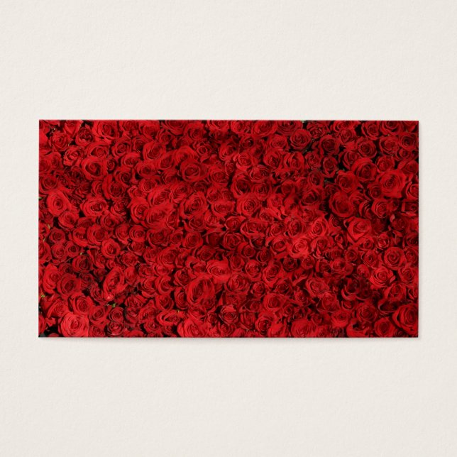 Hunderte schöne Rote Rosen (Vorderseite)