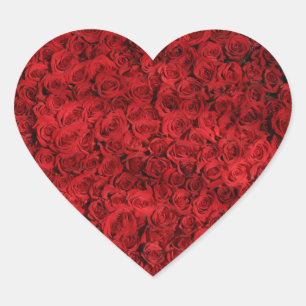 Hunderte schöne Rote Rosen Herz-Aufkleber