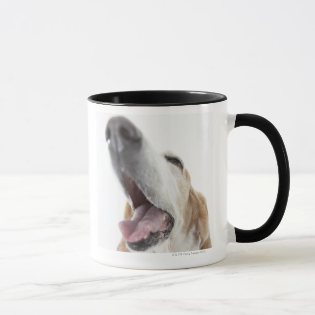 Hunde's-Nase, Nahaufnahme Tasse (Rechts)