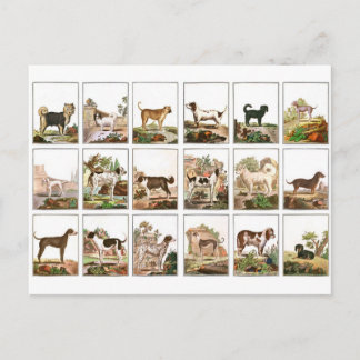 Hundesammlung im Vintage-Stil Postkarte