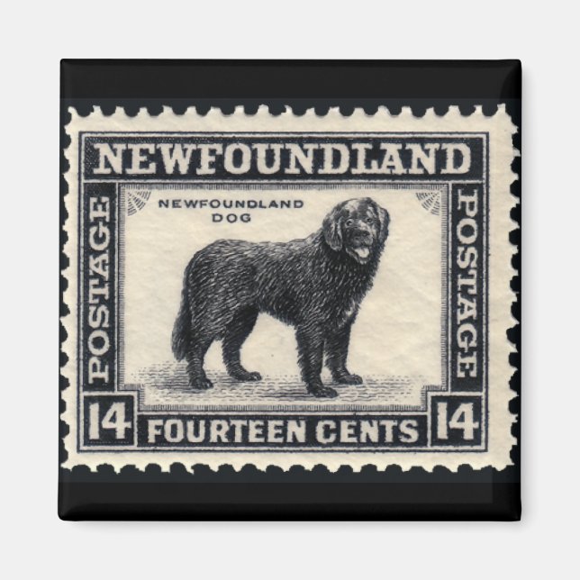Hundeschenke für Neufundland Magnet (Vorne)