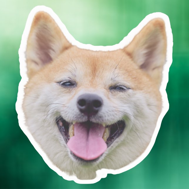 Hundeschild, Hundeschenkgeschenke, Gesichtsmaske Aufkleber (Von Creator hochgeladen)