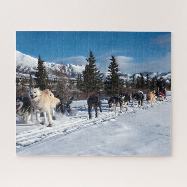 Hundeschlitten-Rennen Alaskas heiseres Puzzle (Horizontal)
