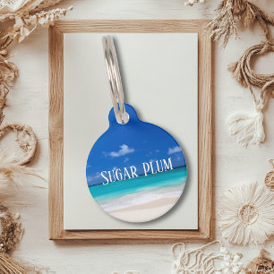 Hundeschlittenkatze Lost Id Haustiermarke