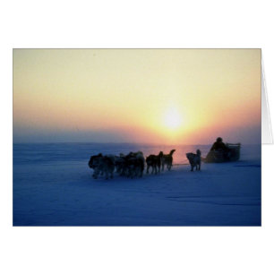 Hundeschlittenreise bei 45 Grad Celsius, Baffin