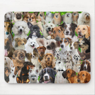 Hundeschollen Mousepad
