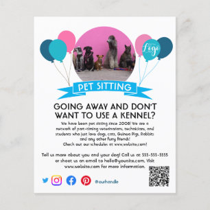 Hundeschuhling Haustier Pflegedienst Flyer