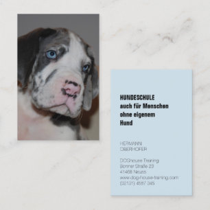Hundeschule Visitenkarten Visitenkarte