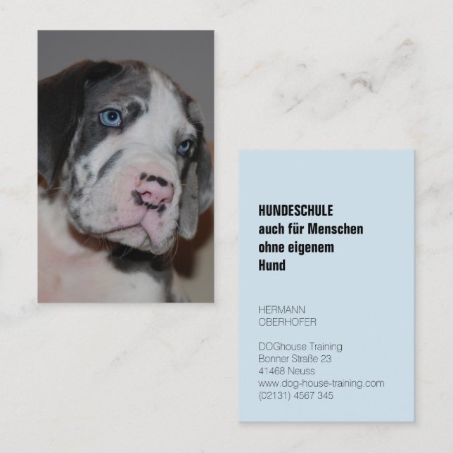 Hundeschule Visitenkarten Visitenkarte (Vorne/Hinten)