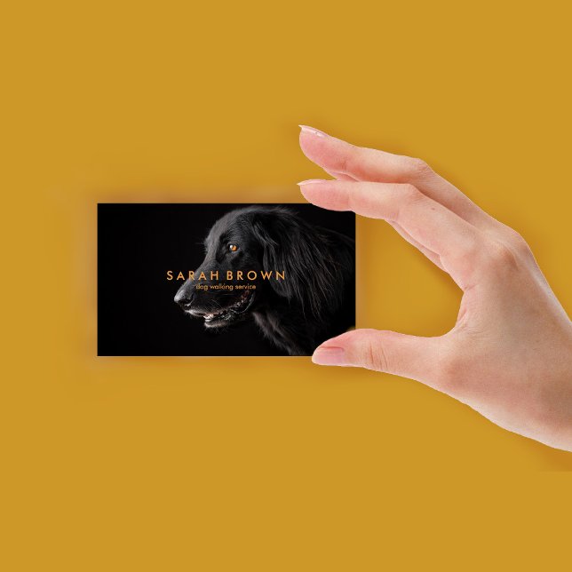 Hundeschwalker/Heimtier-Sitter/Groomer Visitenkarte (Black Labrador Dog Walker/Pet Sitter/Groomer Business Card)