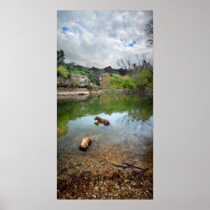 Hundeschwimmen in Barton Creek - Austin Texas Poster